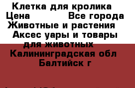 Клетка для кролика › Цена ­ 5 000 - Все города Животные и растения » Аксесcуары и товары для животных   . Калининградская обл.,Балтийск г.